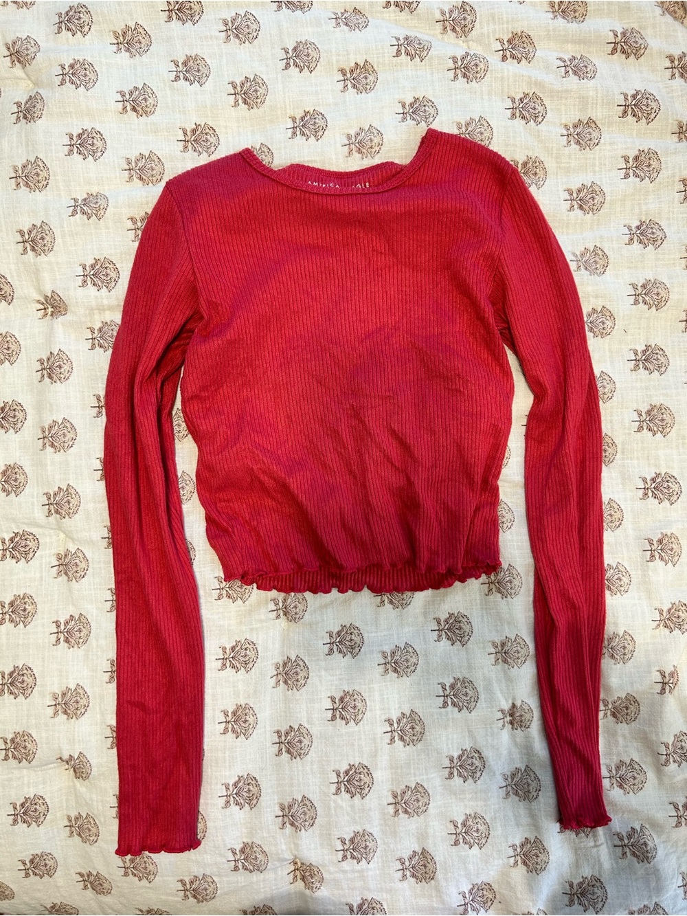 American Eagle Outfitters Pink Ribbed Long-Sleeve Crop Top